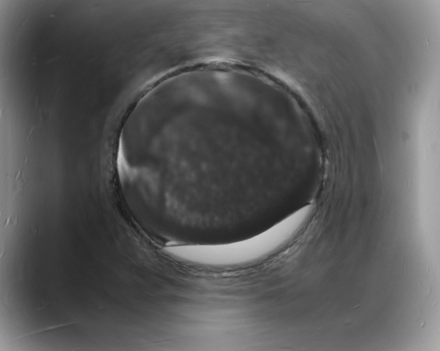 X0000088031359200706081453