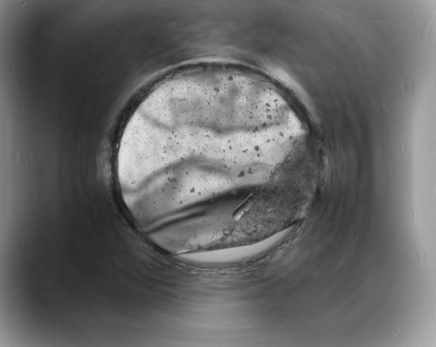 X0000088031360200706081453