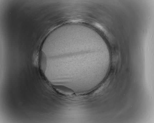 X0000088031361200706081453