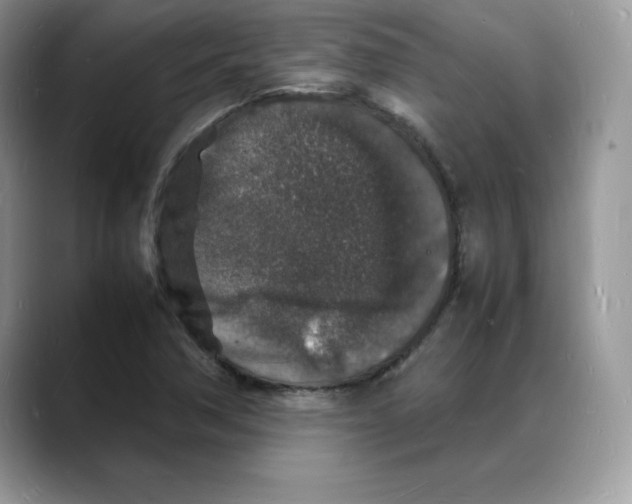 X0000088031362200706081453