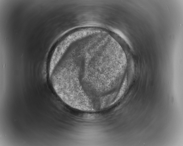 X0000088031364200706081453