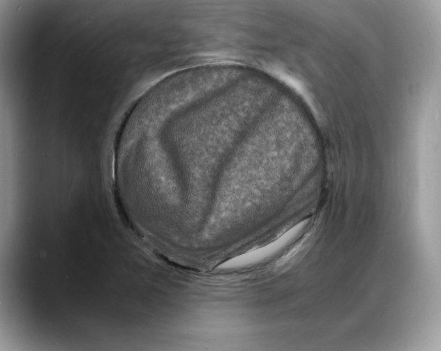 X0000088031365200706081453