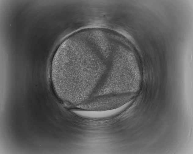 X0000088031366200706081453