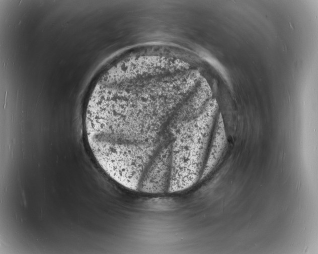 X0000088031368200706081453