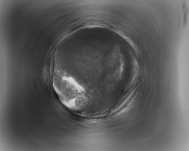 X0000088031369200706081453