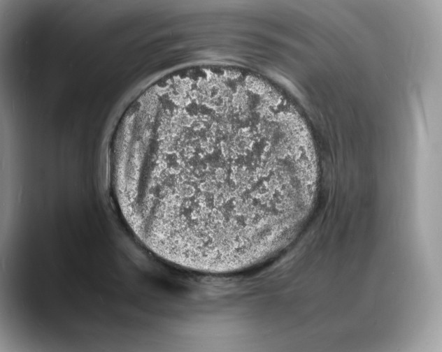 X0000088031371200706081453