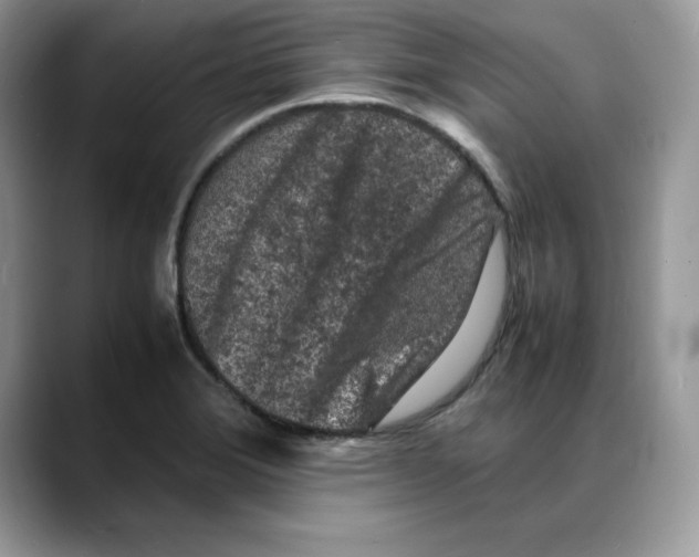 X0000088031372200706081453