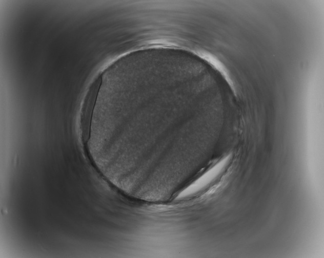 X0000088031373200706081453