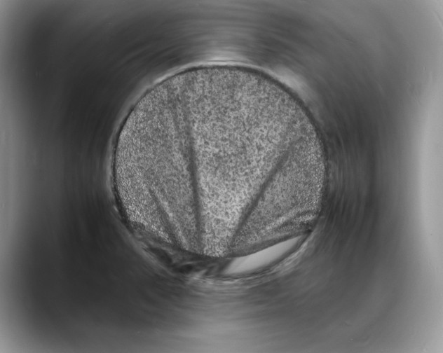 X0000088031374200706081453