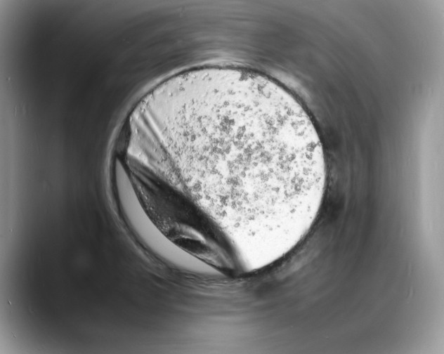 X0000088031375200706081453