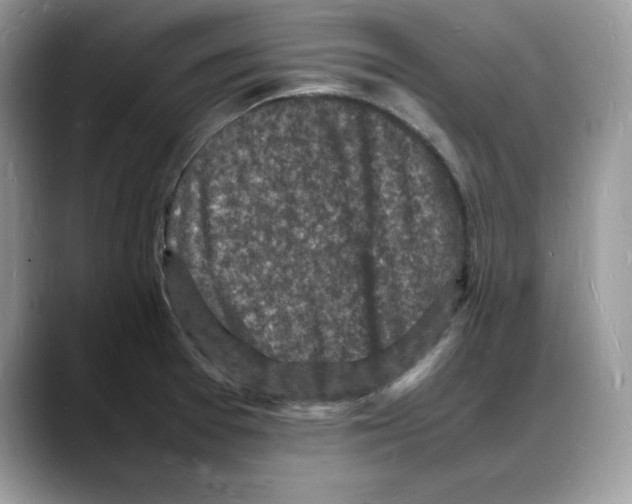 X0000088031377200706081453