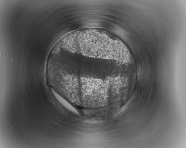 X0000088031378200706081453