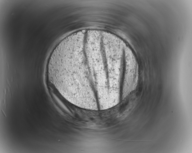 X0000088031379200706081453