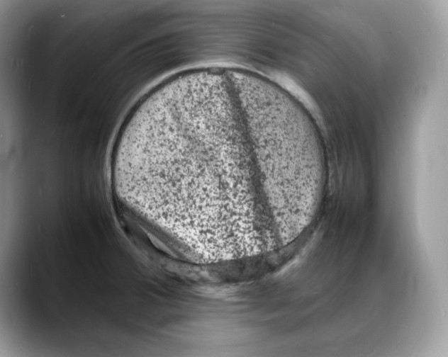 X0000088031380200706081453