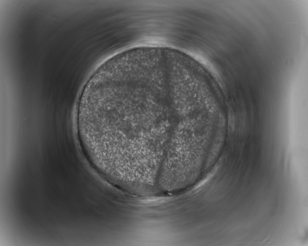 X0000088031382200706081453