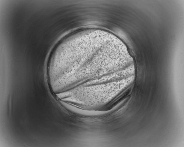 X0000088031384200706081453