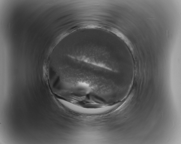 X0000088031385200706081453