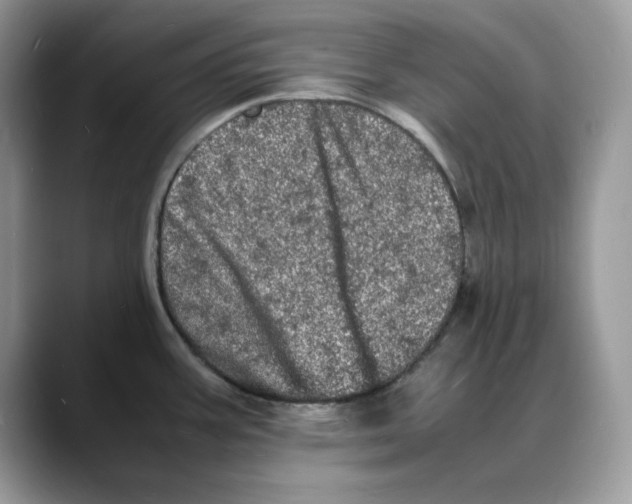 X0000088031387200706081452