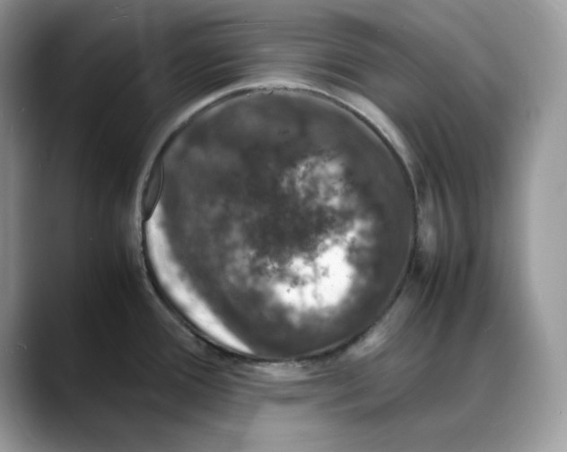 X0000088031388200706081452