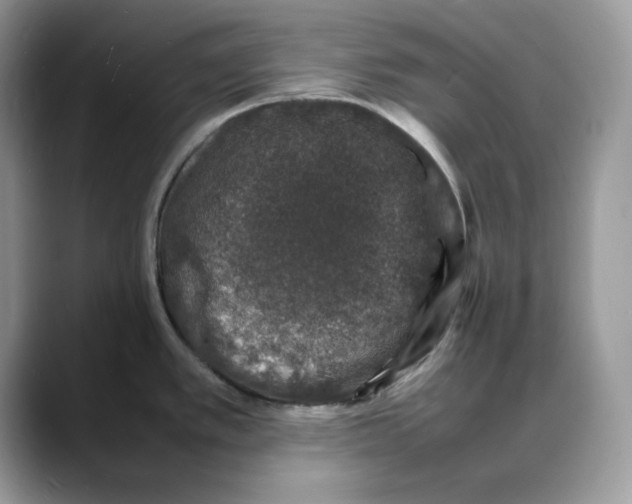 X0000088031389200706081452