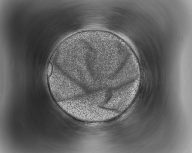 X0000088031390200706081452