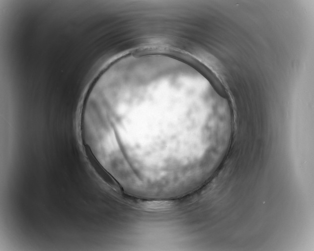 X0000088031392200706081452