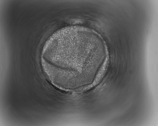 X0000088031393200706081452