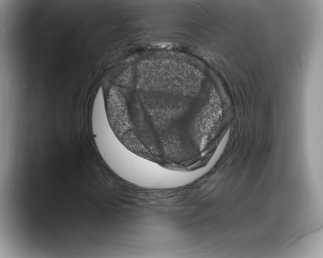 X0000088031394200706081452