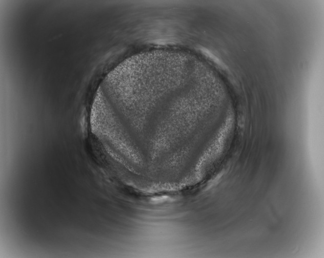 X0000088031398200706081452