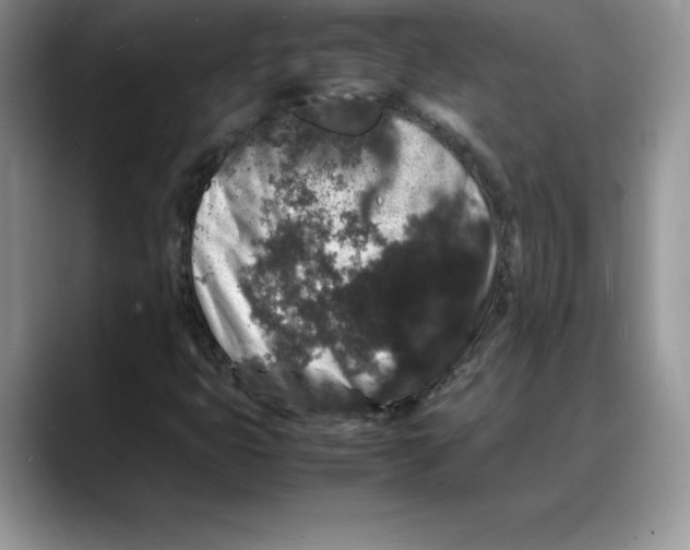 X0000088031399200706081452