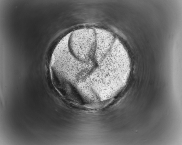 X0000088031400200706081452