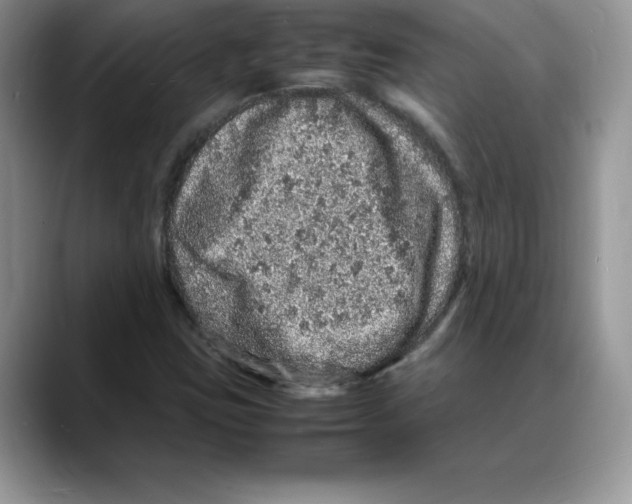 X0000088031403200706081452