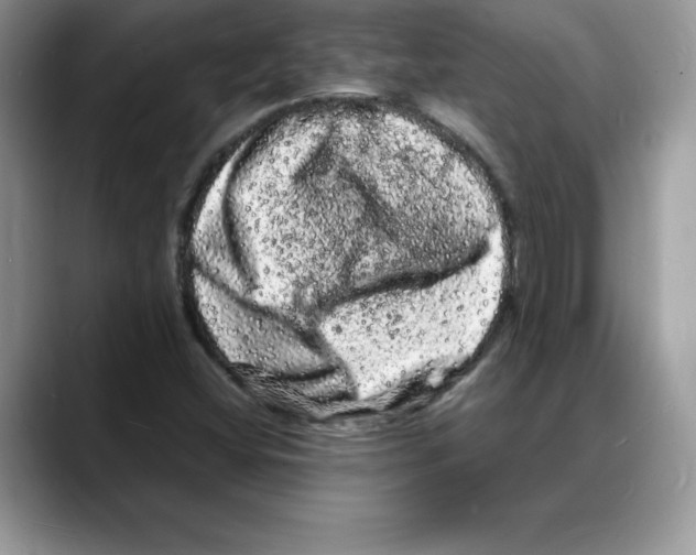 X0000088031404200706081452