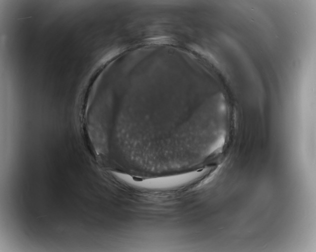 X0000088031405200706081452