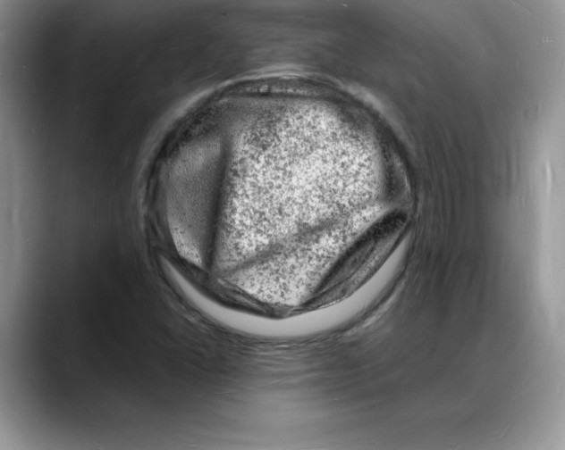 X0000088031406200706081452