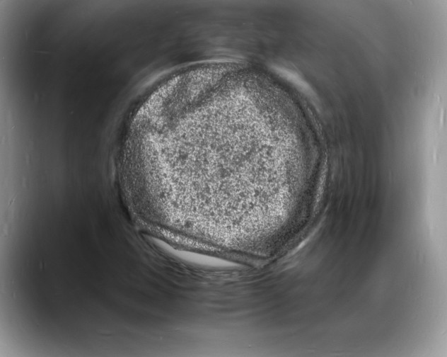 X0000088031407200706081452