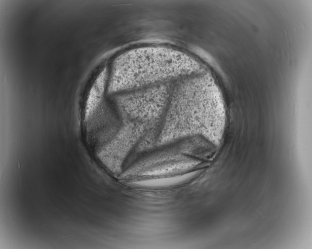 X0000088031408200706081452