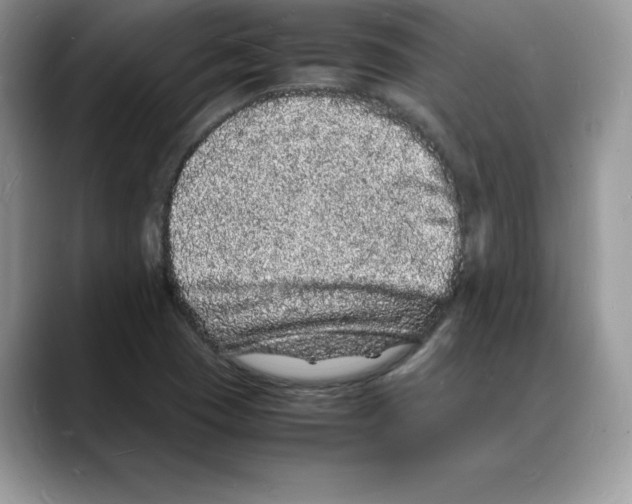 X0000088031409200706081452