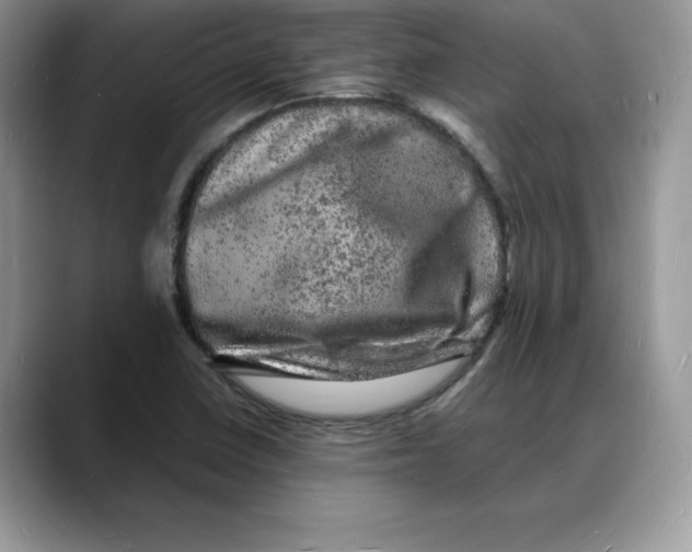 X0000088031410200706081452