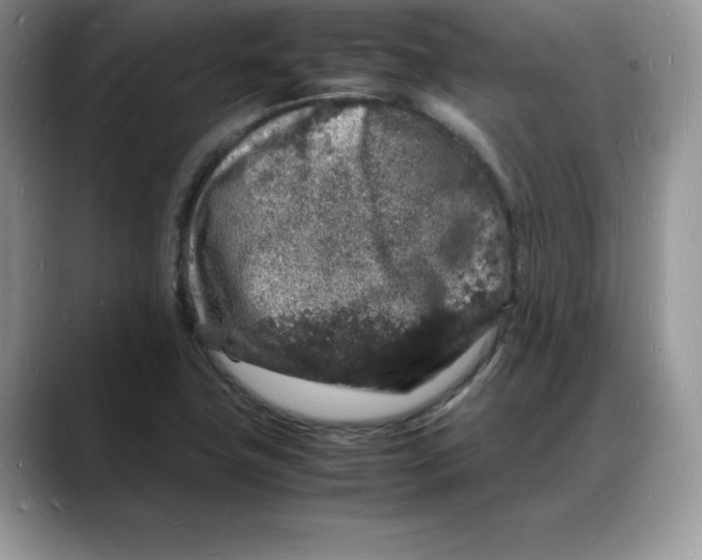 X0000088031411200706081452