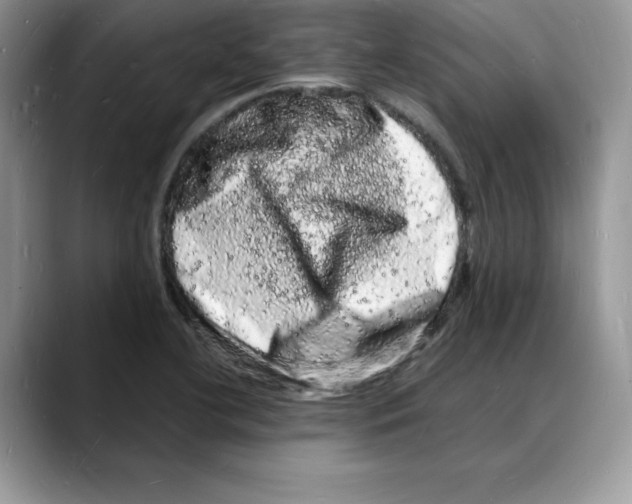 X0000088031412200706081452