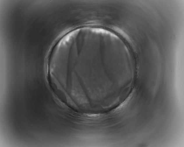 X0000088031413200706081452