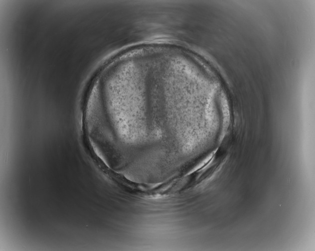 X0000088031414200706081452