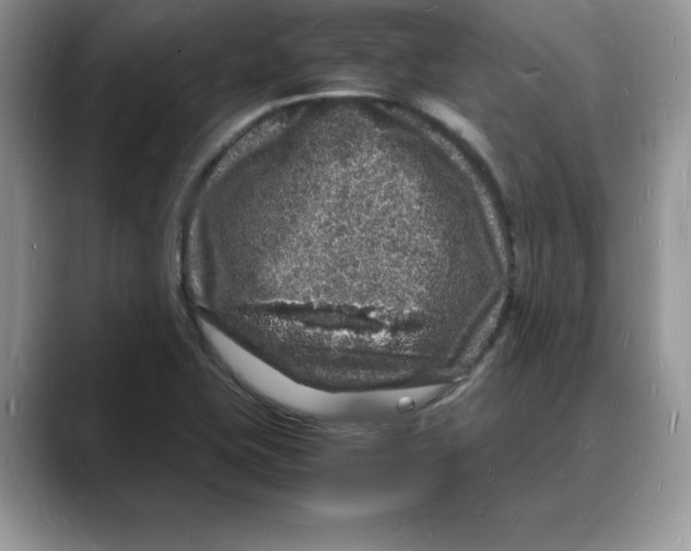 X0000088031415200706081452