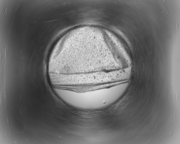 X0000088031416200706081452