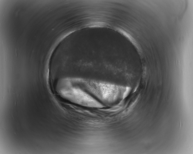 X0000088031418200706081452