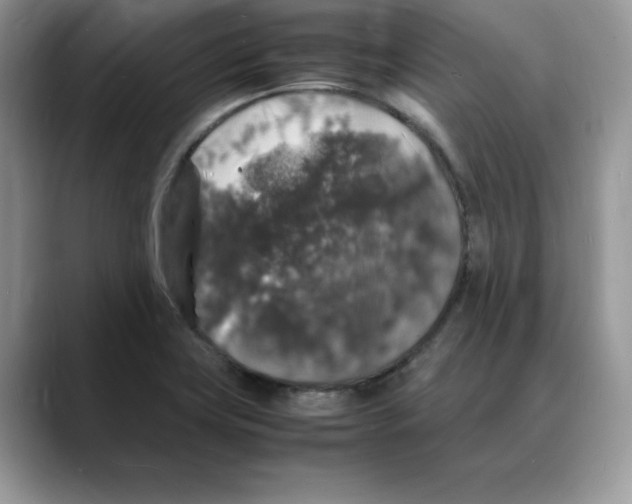 X0000088031419200706081452