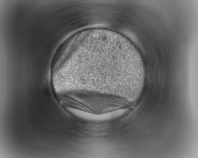 X0000088031420200706081452