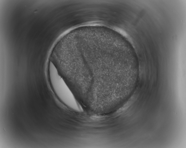 X0000088031421200706081452