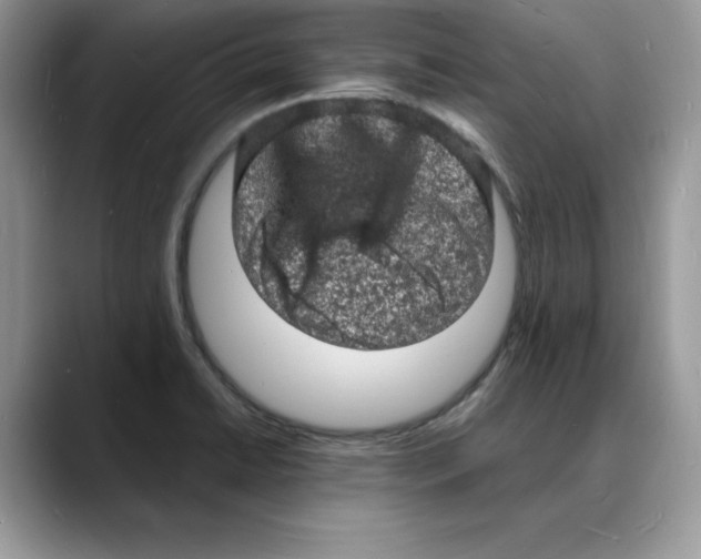 X0000088031422200706081452